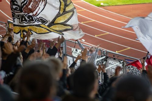 KSV Hessen Kassel - SV Steinbach / 2:1 / 20.03.2024